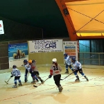 img_2537.jpg