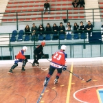 hockey06-4.jpg