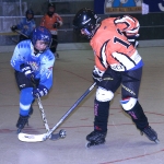 u13-7.jpg