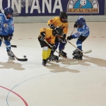 img_8694.jpg