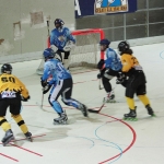 img_8742.jpg