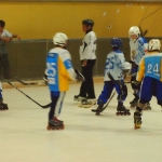 p5014341.jpg