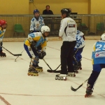 p5014342.jpg