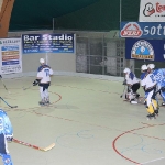 img_6076.jpg