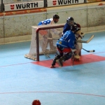 p5265305.jpg