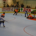 dsc00309.jpg