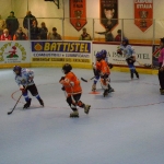 dsc00313.jpg