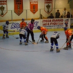 dsc00317.jpg