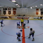 dsc00247.jpg
