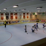 dsc00253.jpg