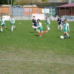 dsc00181.jpg