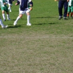 dsc00206.jpg