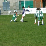 dsc00208.jpg