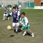 dsc00225.jpg
