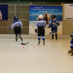 dsc09539.jpg