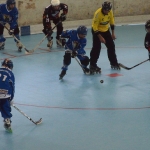 p5265391.jpg