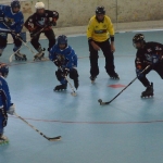 p5265392.jpg