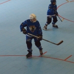 p5265403.jpg