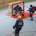 p5265406.jpg