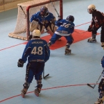 p5265407.jpg