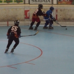 p5265410.jpg