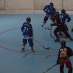 p5265417.jpg