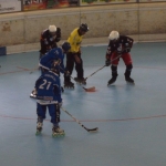 p5265419.jpg