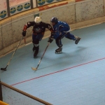p5265430.jpg