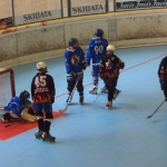 p5265434.jpg