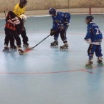 p5265447.jpg