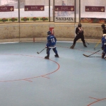 p5265492.jpg