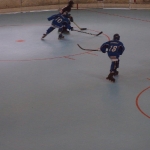 p5265503.jpg