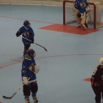p5265511.jpg