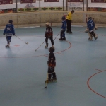 p5265520.jpg