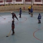 p5265521.jpg