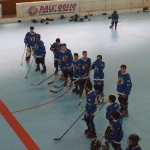 p5265539.jpg