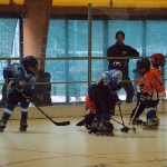 dsc00446.jpg