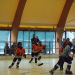 dsc00456.jpg