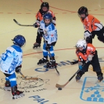 20101212_153024_212.jpg
