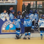 20101212_153502_237.jpg