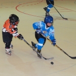 20101212_154420_273.jpg