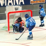 20101212_163012_444.jpg