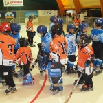 20101212_163333_458.jpg