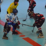 p5265096.jpg