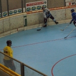p5254820.jpg