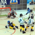 20110109_161715_80.jpg
