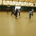 p1010111.jpg